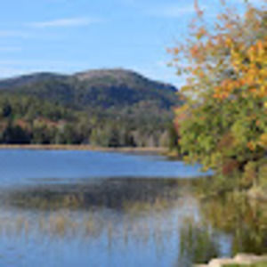 Meet your Posher, Kat